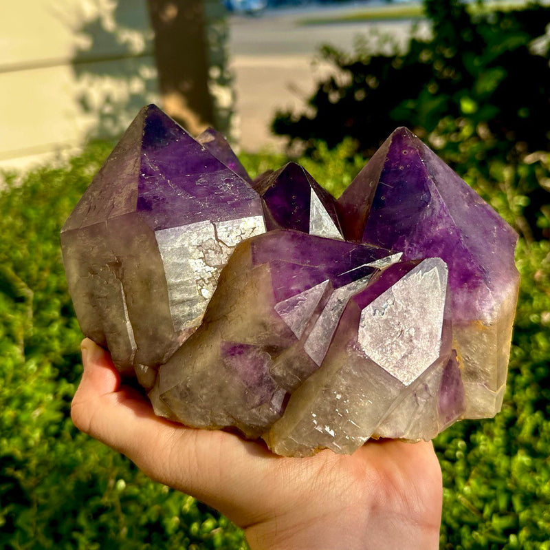Amethyst Clusters - Large Congo