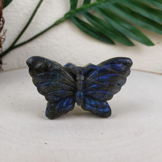 Crystal Butterfly - Labradorite